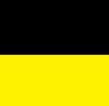Black/Yellow
